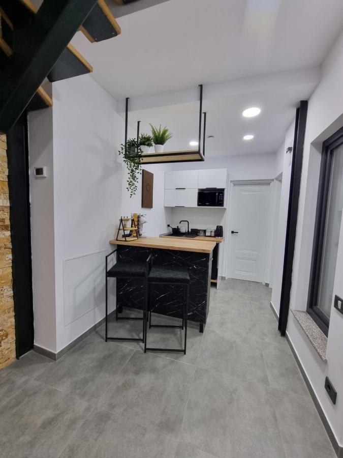 Casa Chiper - Parter Apartment